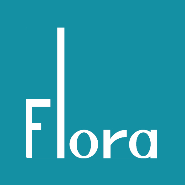 刘伟婷设计师有限公司